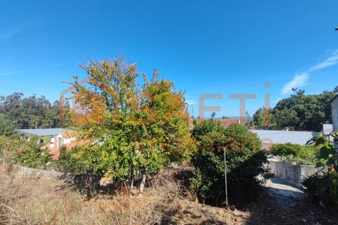 Landejendom i Gesteira e Brunhos, Coimbra, Gesteira e Brunhos - € 50.000 | Ref: SAFTI:006432 - foto 12