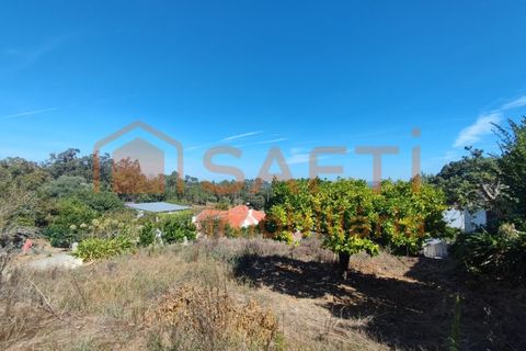 Landejendom i Gesteira e Brunhos, Coimbra, Gesteira e Brunhos - € 50.000 | Ref: SAFTI:006432 - foto 13