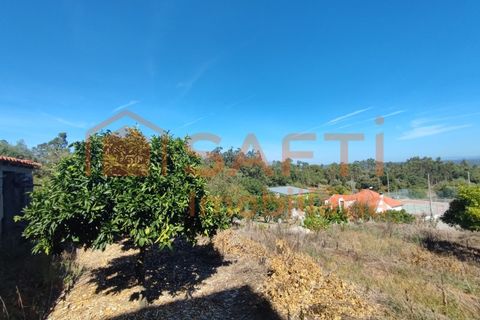 Landejendom i Gesteira e Brunhos, Coimbra, Gesteira e Brunhos - € 50.000 | Ref: SAFTI:006432 - foto 14