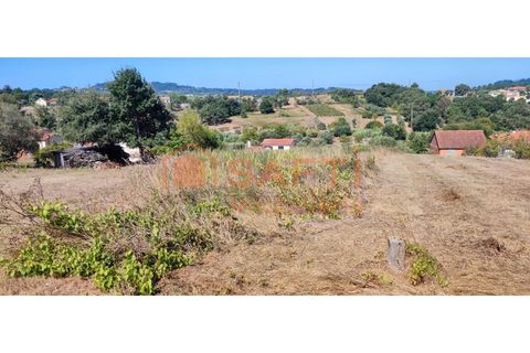 Helårsgrund i Pombal, Leiria, Pombal - € 31.000 | Ref: SAFTI:001527 - foto 6