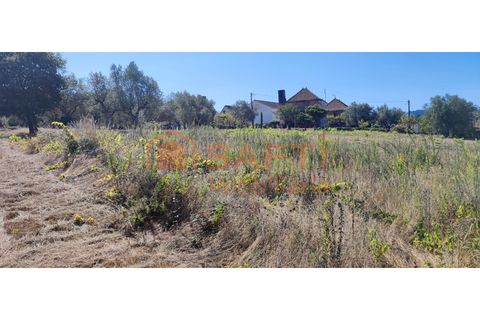Helårsgrund i Pombal, Leiria, Pombal - € 31.000 | Ref: SAFTI:001527 - foto 7