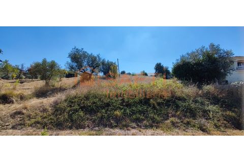 Helårsgrund i Pombal, Leiria, Pombal - € 31.000 | Ref: SAFTI:001527 - foto 4