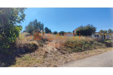 Helårsgrund i Pombal, Leiria, Pombal - € 31.000 | Ref: SAFTI:001527 - foto 3
