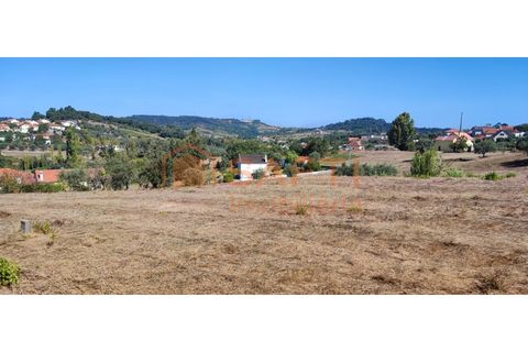 Helårsgrund i Pombal, Leiria, Pombal - € 31.000 | Ref: SAFTI:001527 - foto 8