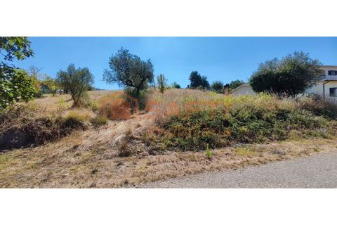Helårsgrund i Pombal, Leiria, Pombal - € 31.000 | Ref: SAFTI:001527 - foto 2