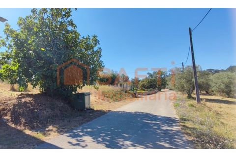 Helårsgrund i Pombal, Leiria, Pombal - € 31.000 | Ref: SAFTI:001527 - foto 1