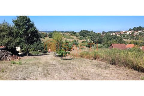 Helårsgrund i Pombal, Leiria, Pombal - € 31.000 | Ref: SAFTI:001527 - foto 10