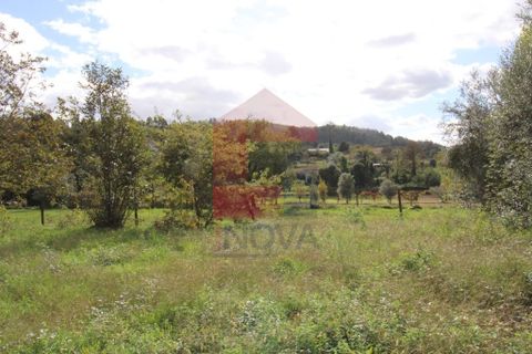 Farm i Vila Verde, Braga, Vila Verde - € 215.000 | Ref: 07483 - foto 4