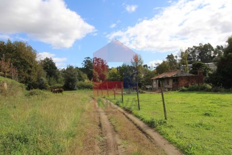 Farm i Vila Verde, Braga, Vila Verde - € 215.000 | Ref: 07483 - foto 5