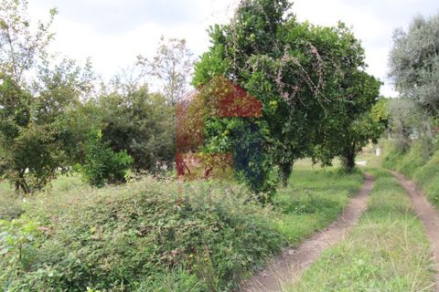 Farm i Vila Verde, Braga, Vila Verde - € 215.000 | Ref: 07483 - foto 6