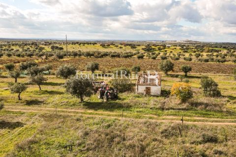Terra a Mourao, Evora, Mourao - € 150.000 | Ref: 889-1 - foto 3