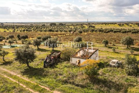 Terra a Mourao, Evora, Mourao - € 150.000 | Ref: 889-1 - foto 4