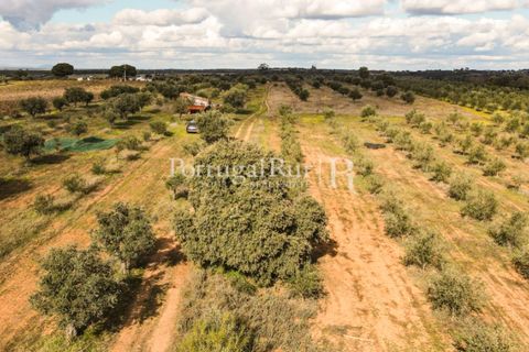 Terra a Mourao, Evora, Mourao - € 150.000 | Ref: 889-1 - foto 8