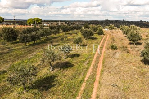 Terra a Mourao, Evora, Mourao - € 150.000 | Ref: 889-1 - foto 10