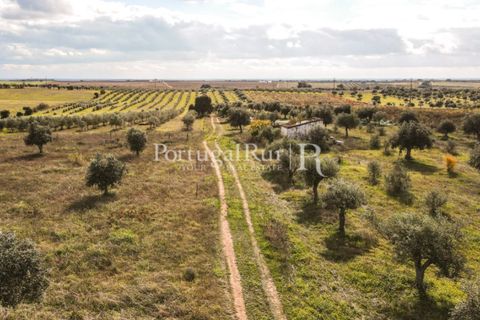 Terra a Mourao, Evora, Mourao - € 150.000 | Ref: 889-1 - foto 11