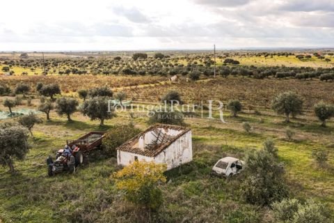 Terra a Mourao, Evora, Mourao - € 150.000 | Ref: 889-1 - foto 13