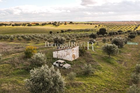 Terra a Mourao, Evora, Mourao - € 150.000 | Ref: 889-1 - foto 14