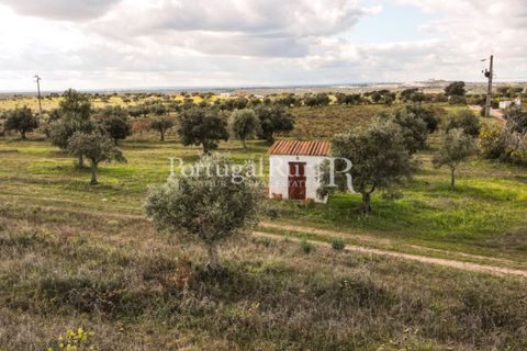 Terra a Mourao, Evora, Mourao - € 150.000 | Ref: 889-1 - foto 15
