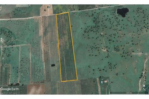 Terra a Mourao, Evora, Mourao - € 150.000 | Ref: 889-1 - foto 16