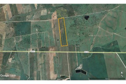 Terra a Mourao, Evora, Mourao - € 150.000 | Ref: 889-1 - foto 17