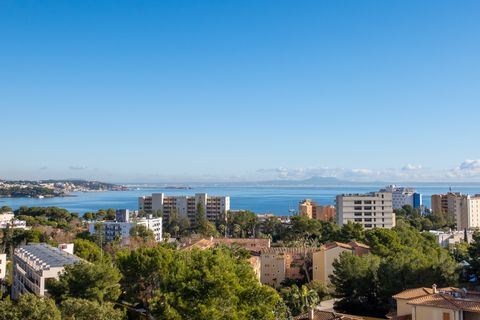 Villa a Palmanova, Mallorca, Palmanova - € 4.950.000 | Ref: 73153 - foto 4
