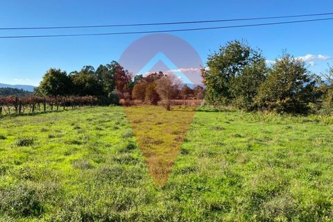 Helårsgrund i Valenca, Viana do Castelo, Valenca - € 35.000 | Ref: TER_111 - foto 7