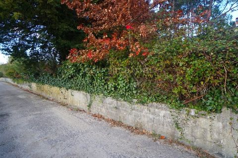 Terra a Ceivaes e Badim, Viana do Castelo, Ceivaes e Badim - € 18.000 | Ref: 3761 - foto 2