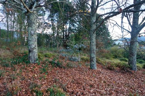 Terra a Ceivaes e Badim, Viana do Castelo, Ceivaes e Badim - € 18.000 | Ref: 3761 - foto 3