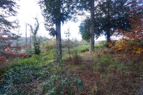Terra a Ceivaes e Badim, Viana do Castelo, Ceivaes e Badim - € 18.000 | Ref: 3761 - foto 4