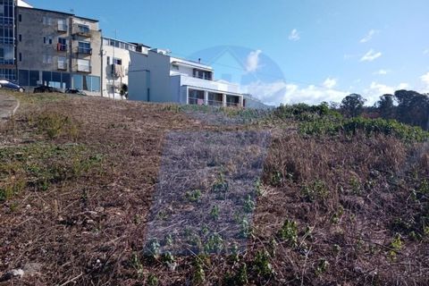 Helårsgrund i Agueda, Aveiro, Agueda - € 45.000 | Ref: TER_863 - foto 5