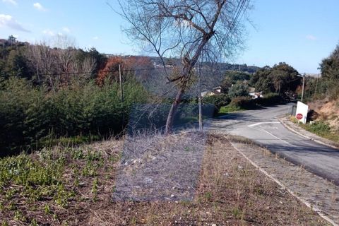Helårsgrund i Agueda, Aveiro, Agueda - € 45.000 | Ref: TER_863 - foto 6