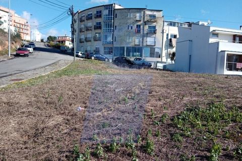Helårsgrund i Agueda, Aveiro, Agueda - € 45.000 | Ref: TER_863 - foto 7
