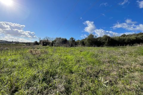 Terra a Muro, Mallorca, Muro - € 250.000 | Ref: 73251 - foto 3