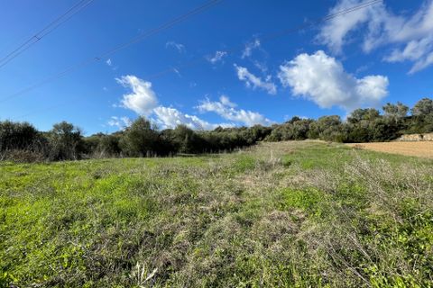 Terra a Muro, Mallorca, Muro - € 250.000 | Ref: 73251 - foto 4
