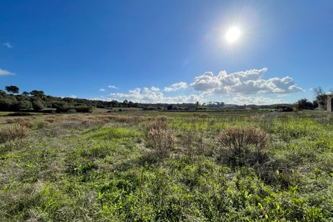 Terra a Muro, Mallorca, Muro - € 250.000 | Ref: 73251 - foto 5