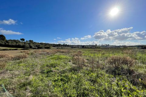 Terra a Muro, Mallorca, Muro - € 250.000 | Ref: 73251 - foto 6