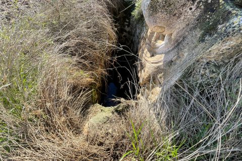 Terra a Muro, Mallorca, Muro - € 250.000 | Ref: 73251 - foto 7