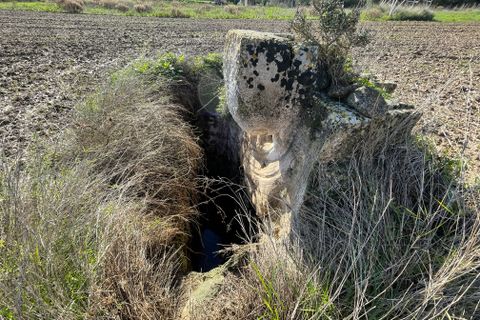 Terra a Muro, Mallorca, Muro - € 250.000 | Ref: 73251 - foto 8