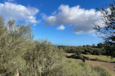 Terra a Muro, Mallorca, Muro - € 250.000 | Ref: 73251 - foto 9