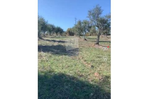 Helårsgrund i Nisa, Portalegre, Nisa - € 60.000 | Ref: ID 01001067-11 - foto 2