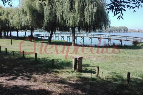 Erhvervsejendom i Agueda, Aveiro, Agueda - € 1.100.000 | Ref: AG 3558 - foto 41