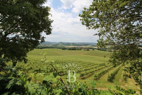 Herregård i Garlin, Pyrenees-Atlantiques, Garlin - € 370 000 | Ref: M1001 - foto 4