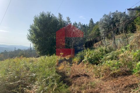 Helårsgrund i Vila Verde, Braga, Vila Verde - € 78.000 | Ref: 07493 - foto 5