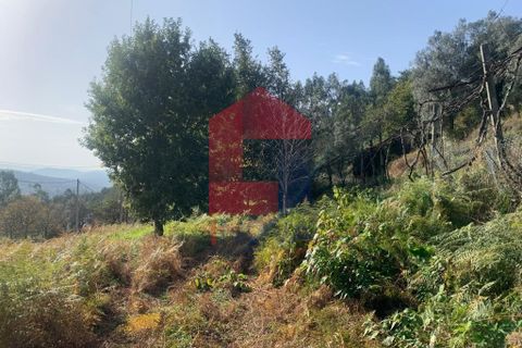 Helårsgrund i Vila Verde, Braga, Vila Verde - € 78.000 | Ref: 07493 - foto 7