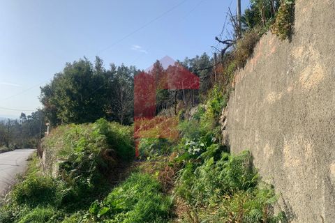 Helårsgrund i Vila Verde, Braga, Vila Verde - € 78.000 | Ref: 07493 - foto 9