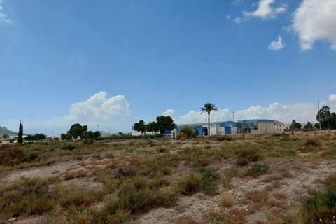 Terra a Tabernas, Almeria, Tabernas - € 150.000 | Ref: TAB274 - foto 5