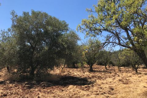 Landejendom i Ostuni, Brindisi, Ostuni - € 55.000 | Ref: 148 - foto 12