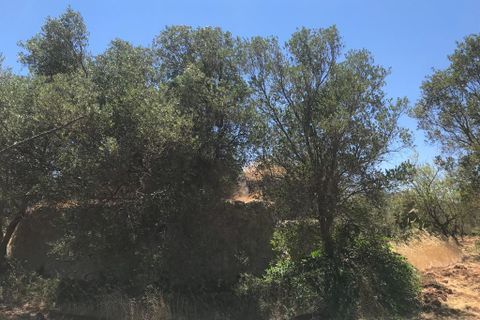 Landejendom i Ostuni, Brindisi, Ostuni - € 55.000 | Ref: 148 - foto 13