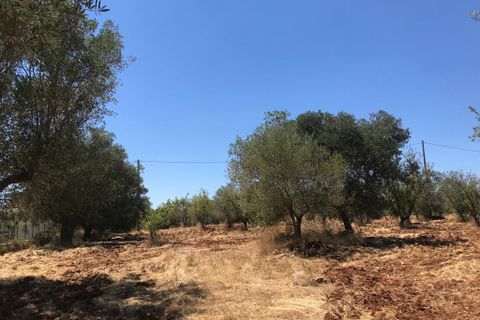 Landejendom i Ostuni, Brindisi, Ostuni - € 55.000 | Ref: 148 - foto 10