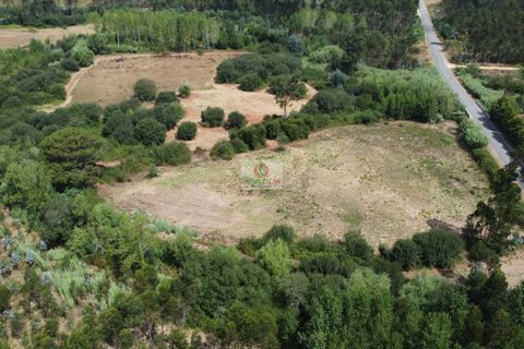 Helårsgrund i Vagos, Aveiro, Vagos - € 54.656 | Ref: 450 - foto 4